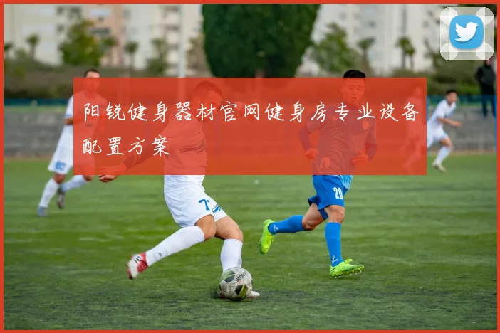 阳锐健身器材官网健身房专业设备配置方案