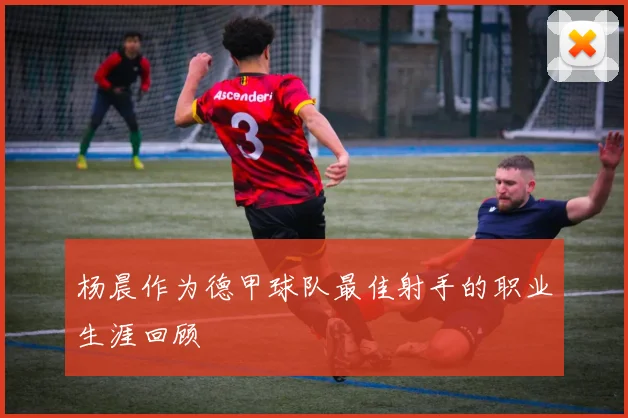 杨晨作为德甲球队最佳射手的职业生涯回顾