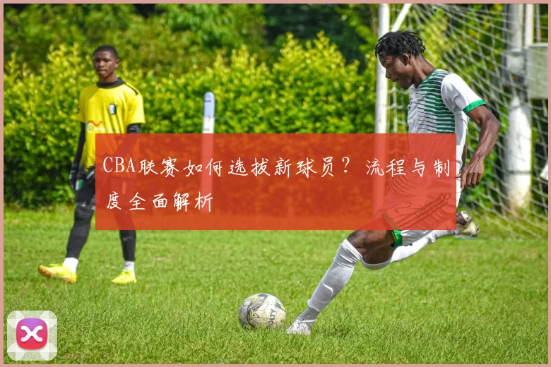 CBA联赛如何选拔新球员？流程与制度全面解析